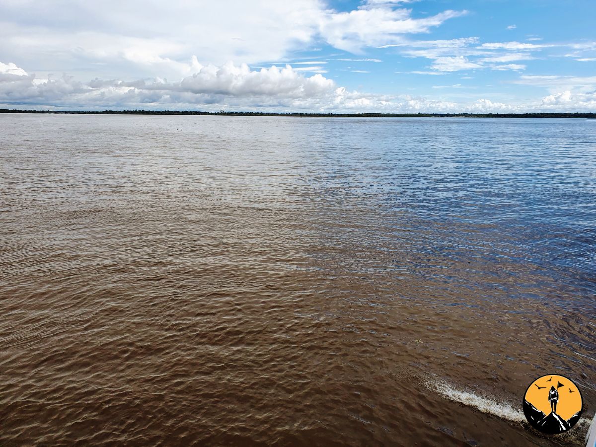 Encontro Das águas Passeio De Barco Em Manaus Viajando De Mochila 7569