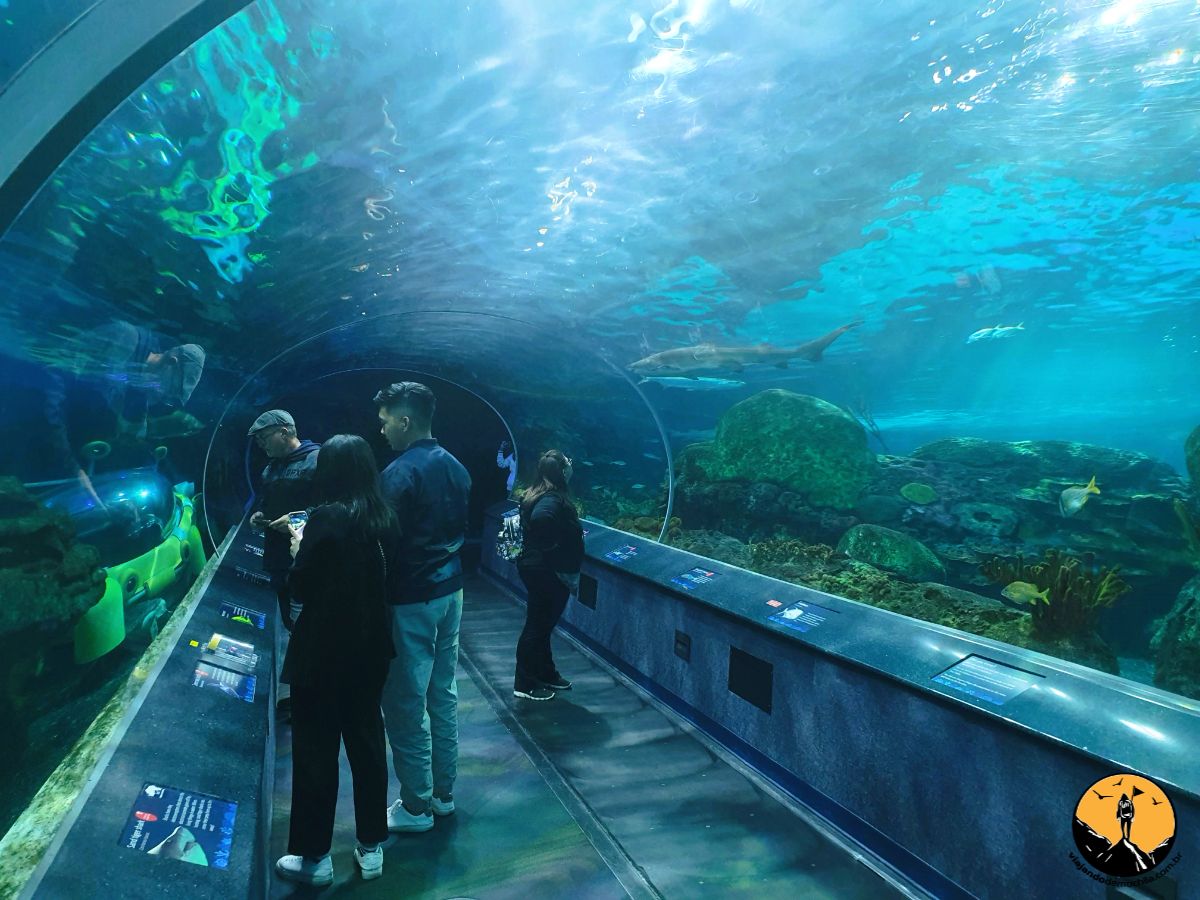 Riplye's aquarium em toronto